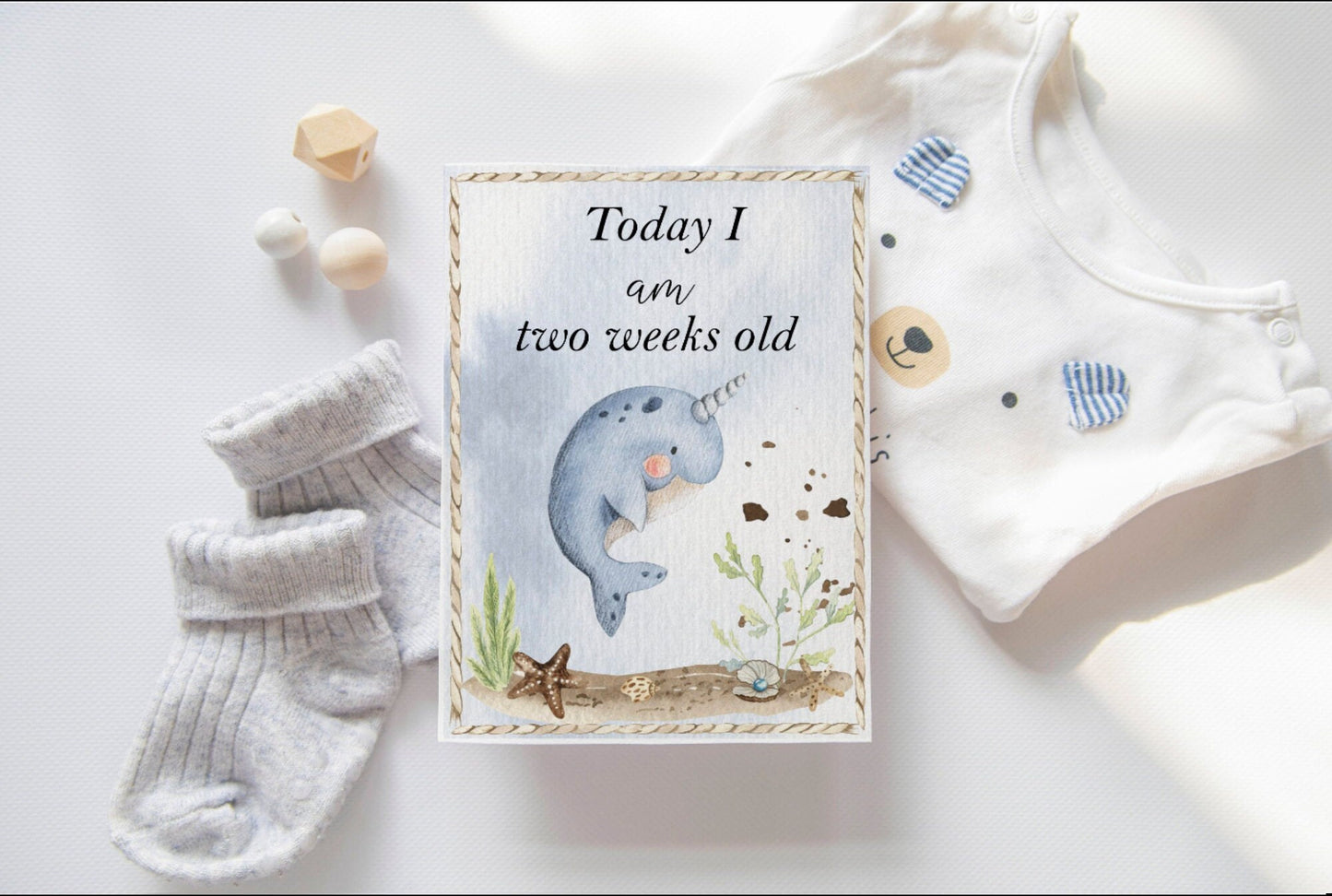 Under the Sea Nursery Bundle: Baby Stats & Milestone PNG Files