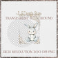 Driver Girl Clipart Set: Customizable New Driver PNG (Digital Download